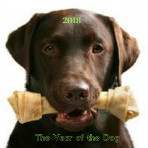 year of Dog