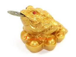 golden money frog