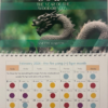 the energy calendar with the energies each day and each month for 2024